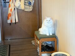 -comecome来吧宠物(奥克斯中心店)