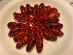 -杨厨的田园饭店(长城路店)