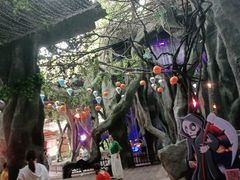 -横店影视城梦幻谷园区