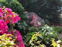 -乌山风景区
