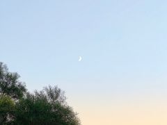 -海豚湾·大堂吧(厦门佰翔波特曼七星湾酒店)