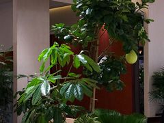 -玉玲珑·里舍(万象城店)