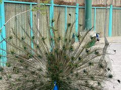 -水上乐园·欢乐世界