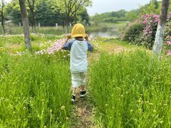 -尚贤河湿地