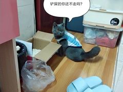 -芭比堂动物医院·24小时·眼科中心(深圳中心)