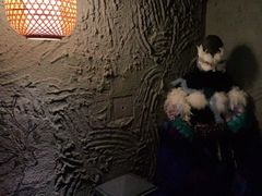 -逃脱反斗城沉浸剧情密室(北京路店)