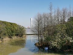 -上海吴淞炮台湾国家湿地公园