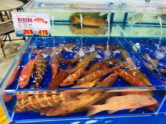 水产区-东江海鲜酒家(艺都分店)