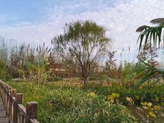 -溱湖国家湿地公园