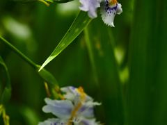 -上海滨江森林公园