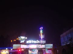 -枫花园汽车电影院(朝阳公园店)