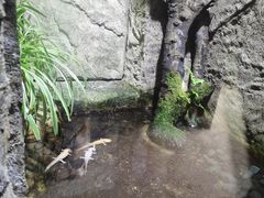 -青青世界