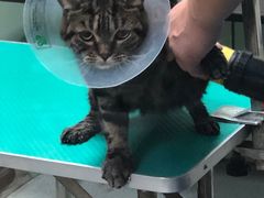 -康乐宝动物医院