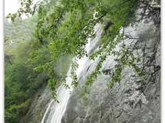 -陕西省红河谷森林公园