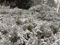 -中国人民抗日战争纪念雕塑园