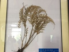 -杭州市萧山区中医院