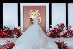 -台湾蔡美月婚纱租赁