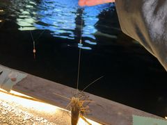 -DGE季风钓虾营地·团建·聚会