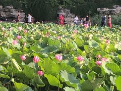 -郭守敬纪念馆