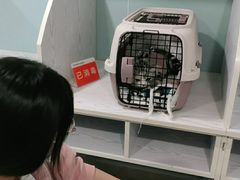 -纳吉亚猫专科动物医院·北北分院