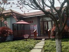 -高东镇樱花园