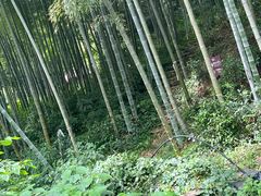 -黄公望隐居地
