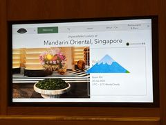 -新加坡文华东方酒店