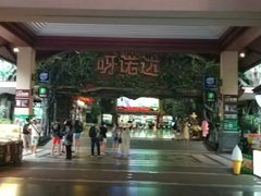 -呀诺达热带雨林