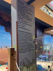 -卡通尼·Safari非洲探索乐园·生日会(金桥国际商业广场店)