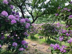 -名花谷生态庄园