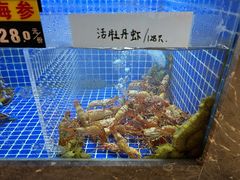 -虾佬圣汤
