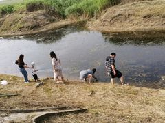 -南汇嘴观海公园