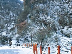 -少华山国家森林公园