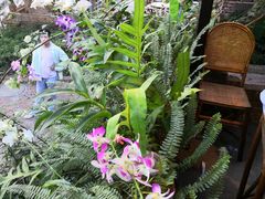 -火咂咂竹筒宴(告庄店)