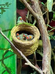 -Zoolung Zoolung动物主题公园(海信广场店)