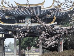 -江心屿景区