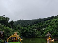 -西双版纳原始森林公园