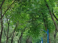 -森林公园(尖草坪区)