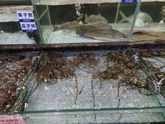 -新海利海鲜城·41年珠海老字号(夏湾店)