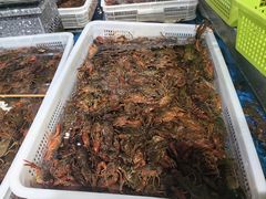 -盒马鲜生(莱蒙都会店)