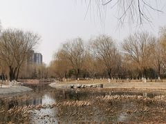 -丰台花园
