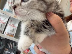 -宠颐生宠物医院·犬猫全科·皮肤科(商业街店)