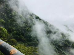 -少华山国家森林公园