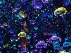 -梵高星空艺术馆(北京旗舰店)