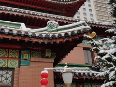 -南京钟山宾馆(江苏省会议中心)