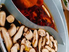 -青瓷火锅料理(西单大悦城店)