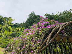 -华南国家植物园-售票处