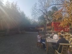 -泰山风景名胜区-普照寺