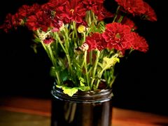 -Apollo·西班牙小酒馆(安福路店)