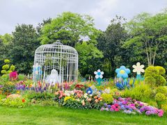 -上海共青森林公园